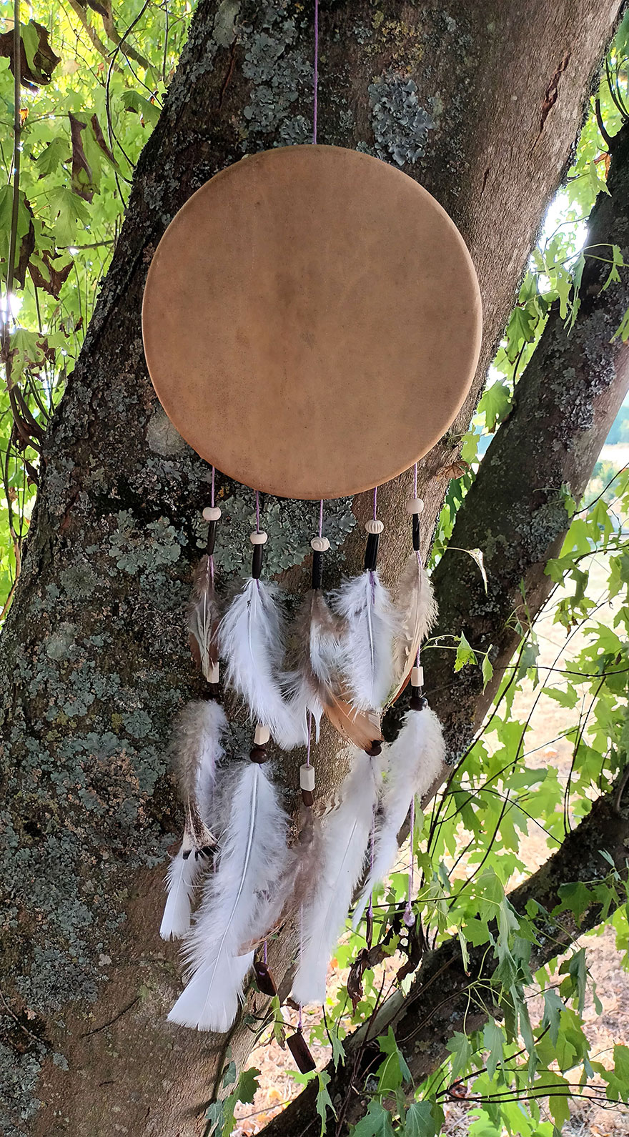 Attrape-rêves à peindre