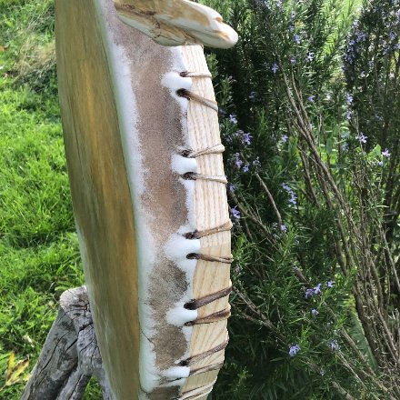 Tambour Loup n°2 (tambour 39)